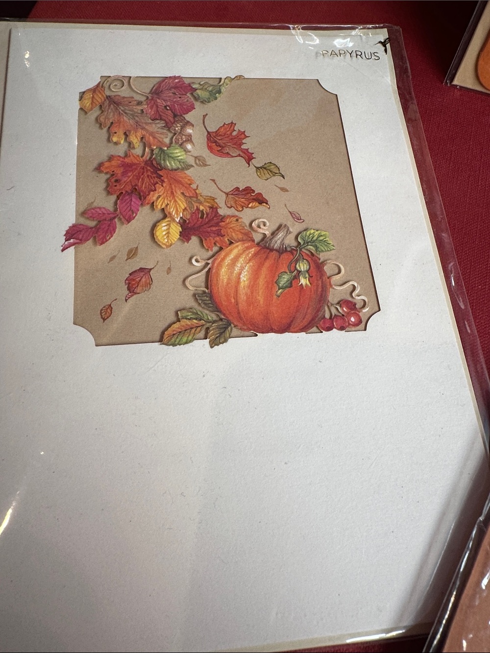 PAPYRUS SET of 4 greeting cards and one Thanksgiving banner. - Picture 4 of 8